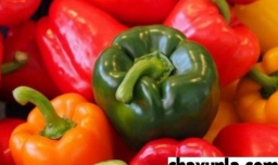 哪些蔬菜维生素c含量高