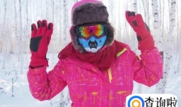 冬天怎么穿衣服才不冷