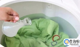 床上有很小的棕色虫子怎么办