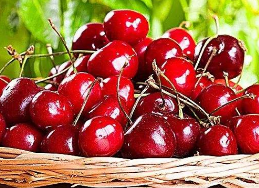 车厘子每天吃多少合适