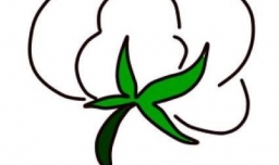 简笔画棉花怎样画