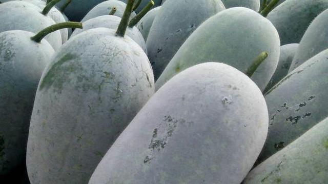 为什么葡萄皮上总有一层白霜