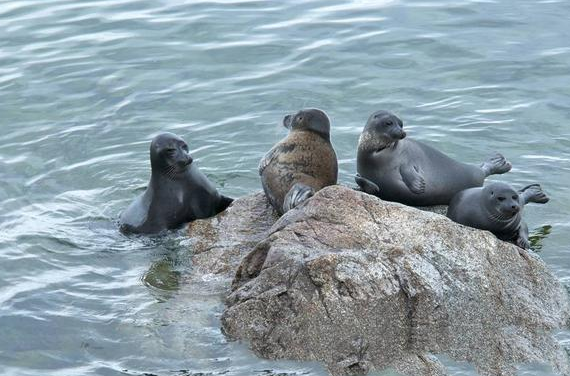 世界上最深的湖泊