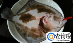 怎样清除多宝鱼内脏