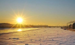 抗饿又不会胖的食品有哪些？