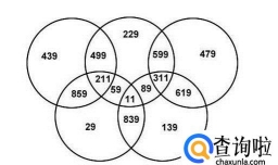 为什么最大的素数会成为热销书