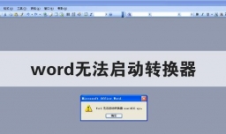word无法启动转换器