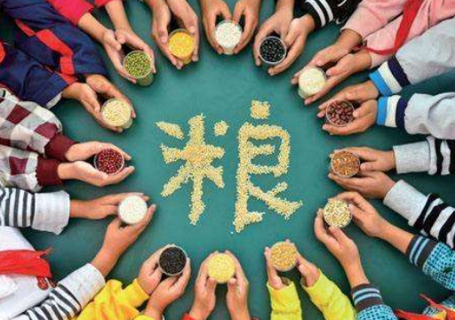 世界粮食日是什么时候