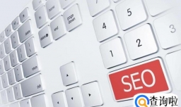 如何掌握SEO细分领域中的知识要点？