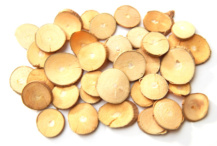 桑枝的功效与作用