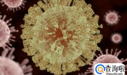 “消失”的新冠病毒 外媒好奇：中国的病毒去哪了