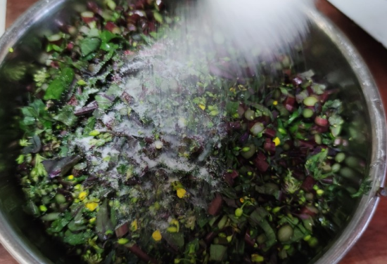 红菜苔的腌制储存方法