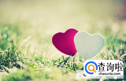 会不会介意对方过去的感情经历？