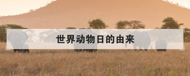 世界动物日的由来