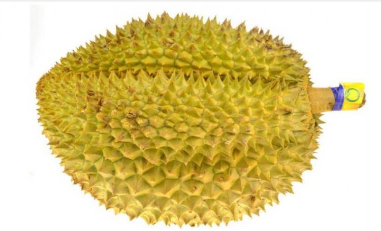 如何选榴莲皮薄肉多