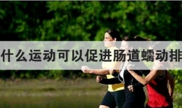 做什么运动可以促进肠道蠕动排便