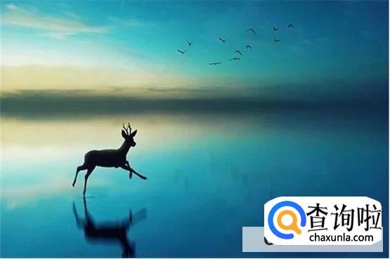 如何让自己不想太多不焦虑