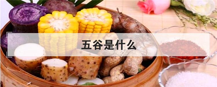 五谷是什么