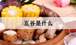 五谷是什么