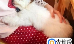 喜欢小动物的人更有爱心吗？为什么？