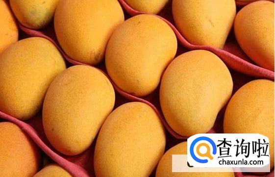 芒果的药用价值及其功效