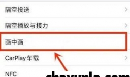 iPhone12如何启用画中画
