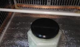 怎样自制草莓酸奶盆栽