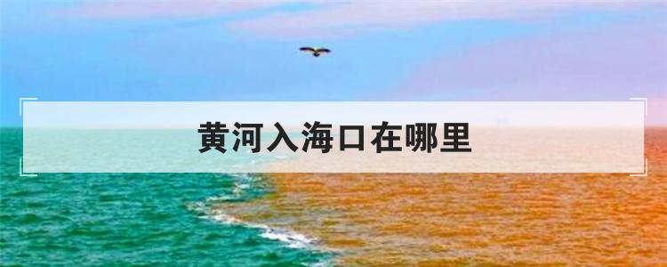黄河入海口在哪里