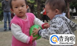 如何帮孩子应对玩具被其他人抢走的情形？