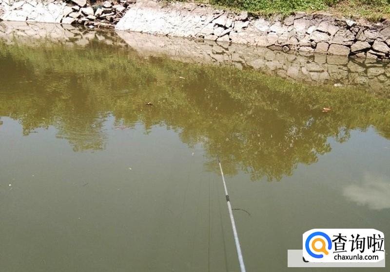 新手钓鱼入门基本功,钓鱼技巧大全