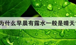 为什么早晨有露水一般是晴天