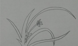 多妈简笔画简单的兰花的画法