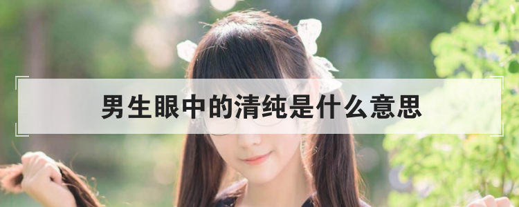 男生眼中的清纯是什么意思