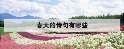 春天的诗句有哪些
