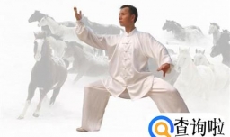 太极拳都分为哪些流派，各有什么特点