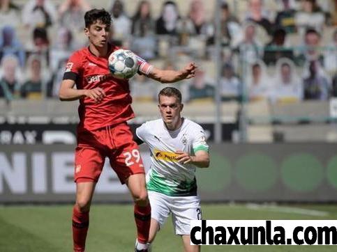 哈弗茨踢什么位置