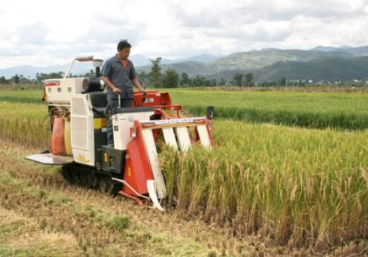水稻种植的流程有哪些