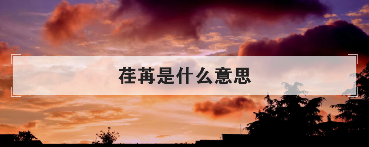 荏苒是什么意思