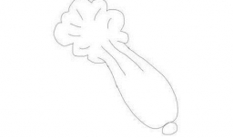 怎样画一些蔬菜和水果？