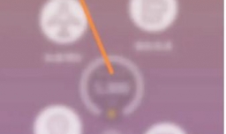 山航掌尚飞怎么进行乘坐国内航班填报