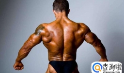 强健肩部训练方法