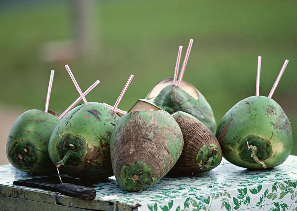 椰子算不算坚果