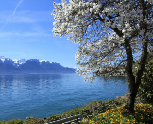 春日原文及翻译