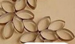 废弃卫生纸卷芯的妙用