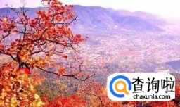 香山红叶节什么时候红及必须要知道的细节