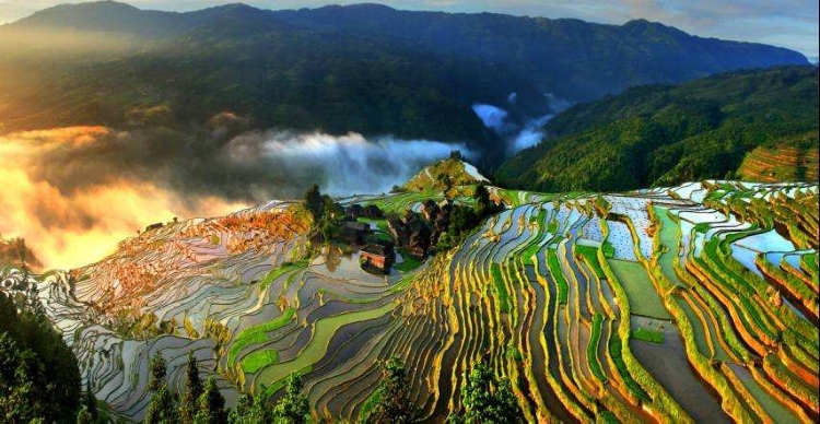 黔是哪里的简称