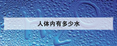 人体内有多少水