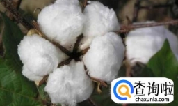 手工棉被是怎么制作的？