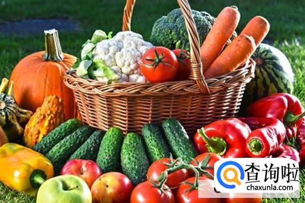 午餐吃什么最营养健康