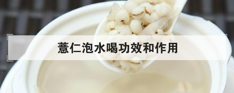 薏仁泡水喝功效和作用